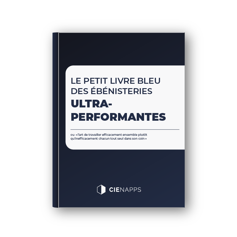 Livre bleu fr_cover